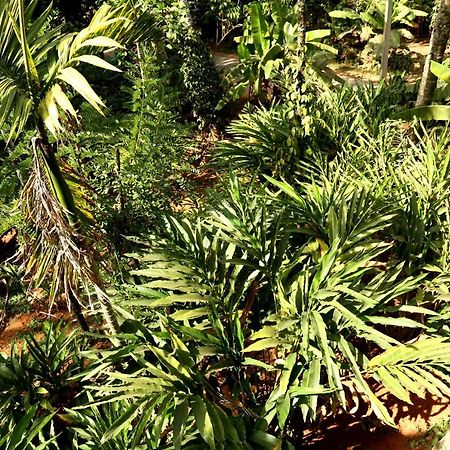 Spice Valley Home Stay & Tree House Munnar Exteriör bild