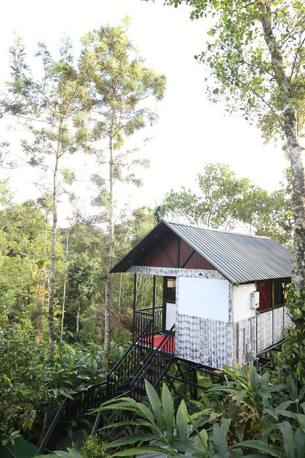 Spice Valley Home Stay & Tree House Munnar Exteriör bild