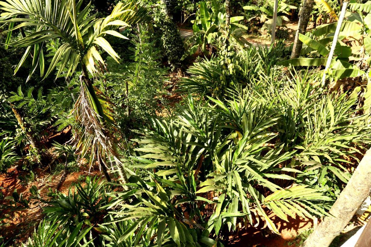 Spice Valley Home Stay & Tree House Munnar Exteriör bild
